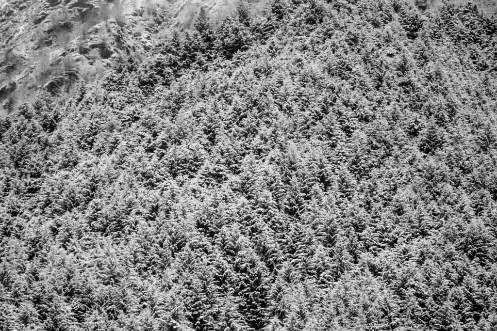 Zona Inadvertida - Sofia Pal - Fotografía