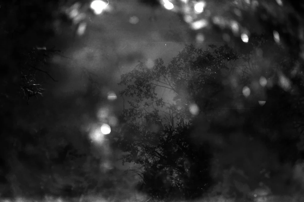 Zona Inadvertida - Sofia Pal - Fotografía