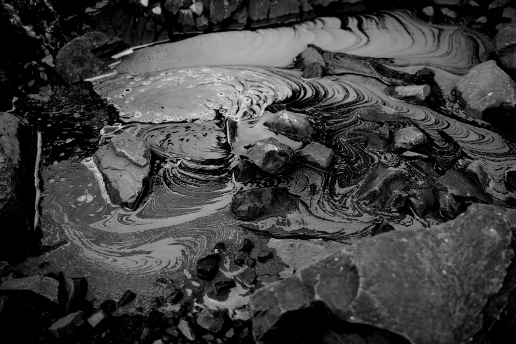 Zona Inadvertida - Sofia Pal - Fotografía