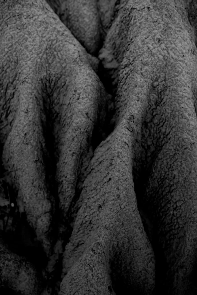 Zona Inadvertida - Sofia Pal - Fotografía