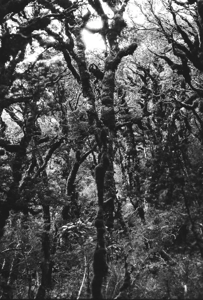 Zona Inadvertida - Sofia Pal - Fotografía