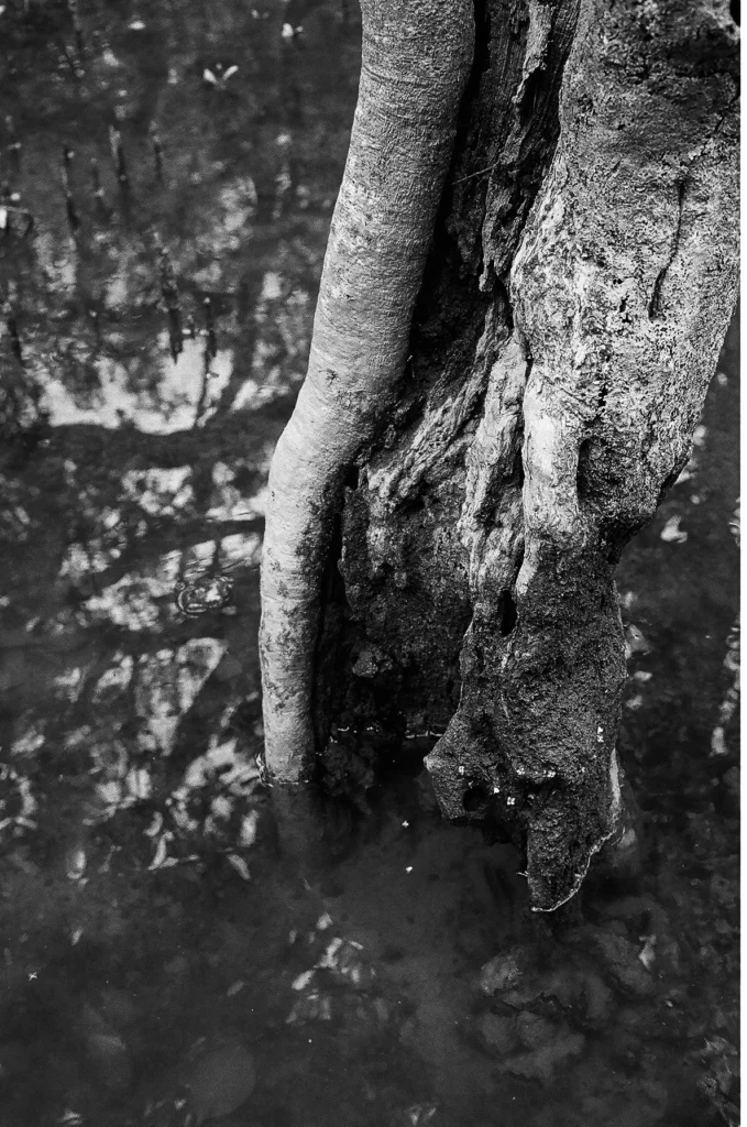 Zona Inadvertida - Sofia Pal - Fotografía